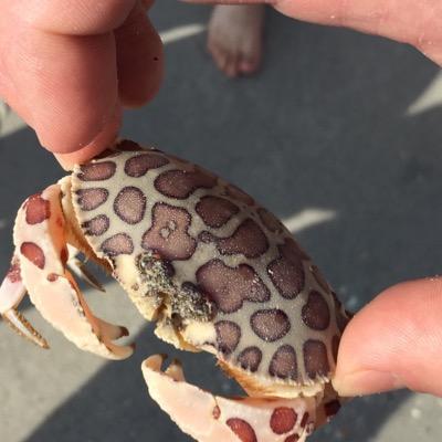 Profile Picture of David Swanson (@Ravdog) on Twitter