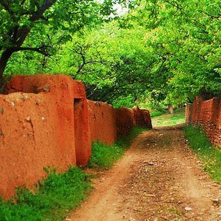 Profile Picture of Mina Mohammadi (@mina_mohammadii) on Twitter