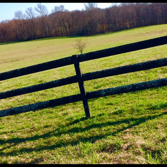 Profile Picture of Darrin Wilson (@darrin224) on Poshmark