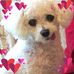 Profile Picture of Maureen Cooper (@maureen.cooper.106) on Facebook