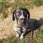 Profile Picture of Archie Erik Lancelot Odin Ulph (@archie.daily.chew) on Instagram