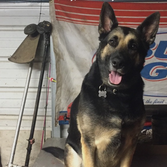 Profile Picture of Justin Howell (@justin6yjs) on Poshmark