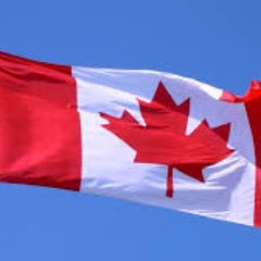 Peter Karam - Twitter Profile Picture of Peter Karam (@peterkaram11) on Twitter