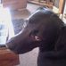 Profile Picture of Isabel Bennett (@isabel.bennett.108) on Facebook