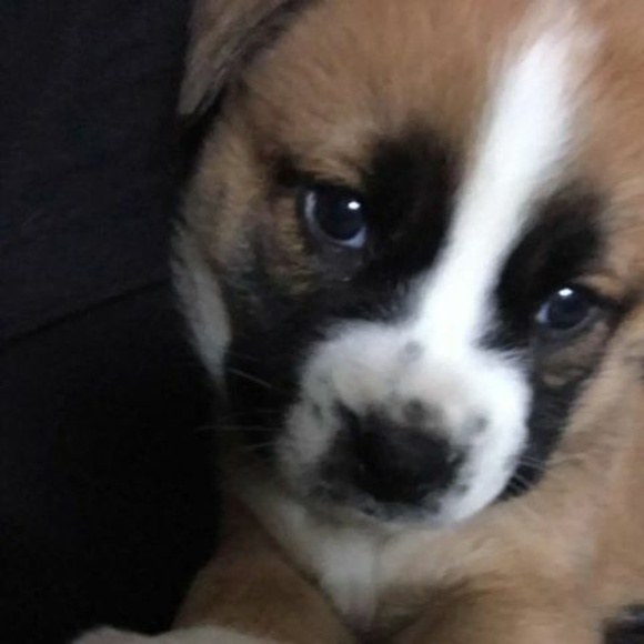 Profile Picture of Jersey Gourneau (@jerseygourneau) on Poshmark