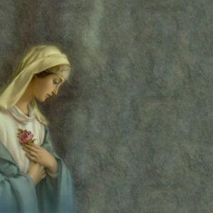 Pang Tian - Twitter Profile Picture of Pang Tian (@pang_tian) on Twitter