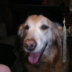 Profile Picture of Fernando Espejel (@southsidenando) on Myspace