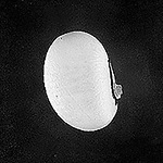 Profile Picture of David Waugh (@daviddeywaugh) on Flickr