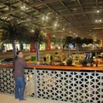 Profile Picture of Yvette Fernandes (@yvette.fernando) on Instagram