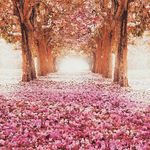 Profile Picture of Aimee.❤ (@aimee.ramsey) on Instagram