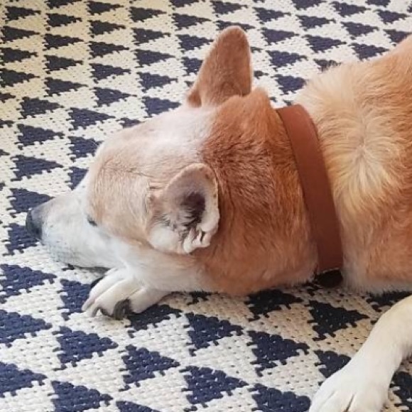 Profile Picture of John Tuttle (@kinngtutt) on Poshmark