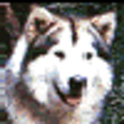 Davis Whitfield - Twitter Profile Picture of Davis Whitfield (@qocbunnymor) on Twitter