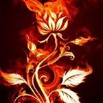 Profile Picture of Pablo Lezama (@lezama.p) on Instagram