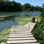 Profile Picture of Christopher Head (@sangrealsilva) on Instagram