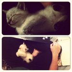 Profile Picture of jasmineosborne (@jasmineosborne) on Instagram