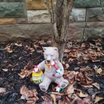 Profile Picture of Thomas Trunk (@Thomas-Trunk) on Facebook