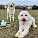 Profile Picture of Whitney Shafer (@whitney_2525) on Instagram