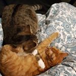 Profile Picture of Marcella Charles Hunter (@marcellacharleshunter) on Instagram