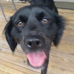 Profile Picture of Cameron McKay (@cmckayboyz) on Instagram