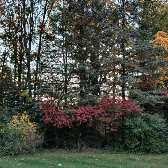 Profile Picture of Brandon Hakim (@hakim919) on Poshmark