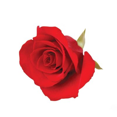 Kaycee Jones - Twitter Profile Picture of Kaycee Jones (@EagleKayceejone) on Twitter