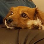 Profile Picture of Noreen Daniels (@noirin_lalor) on Instagram