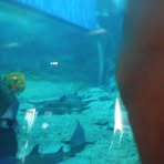 Profile Picture of Choy Pang (@choy.pang.506151) on Facebook