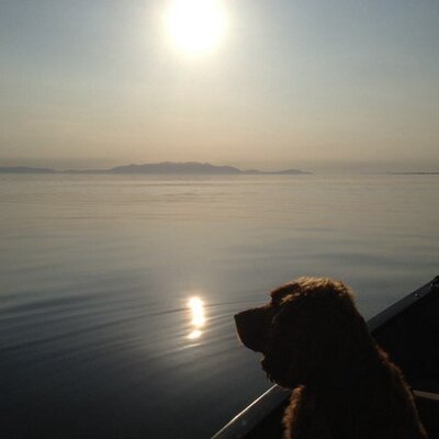 Profile Picture of Bill Dickenson (@canoemanBill) on Twitter