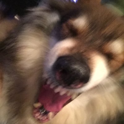 Profile Picture of Barry McIntee (@barryboon74) on Twitter