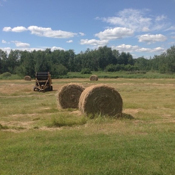 Marie Mergenthal - Poshmark Profile Picture of Marie Mergenthal (@mmergenthal2747) on Poshmark