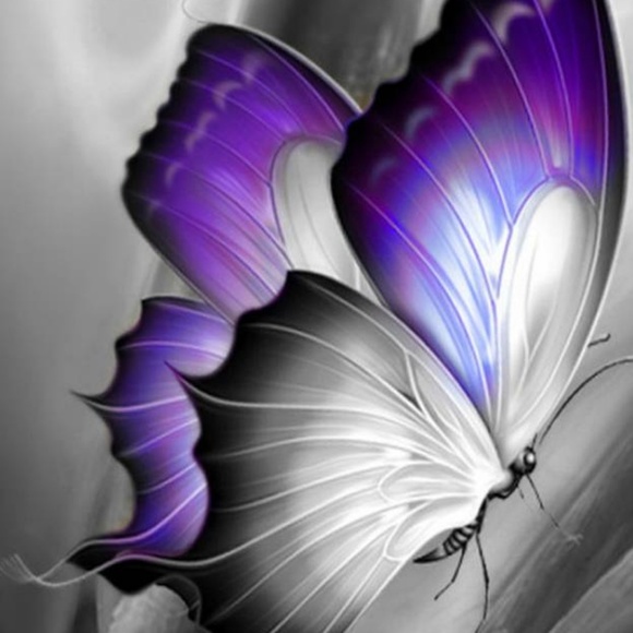 Profile Picture of Kim Ehlen (@ehlenfive) on Poshmark