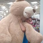 Profile Picture of Jean-claude Migneault (@jeanclaudemigneault) on Instagram