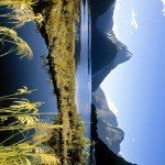 Profile Picture of Annissa (@robindjwbr595b) on Instagram