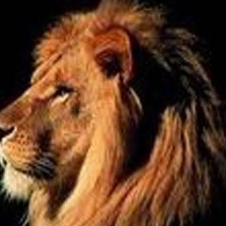 Profile Picture of Golden Person (@golden.person.50) on Facebook