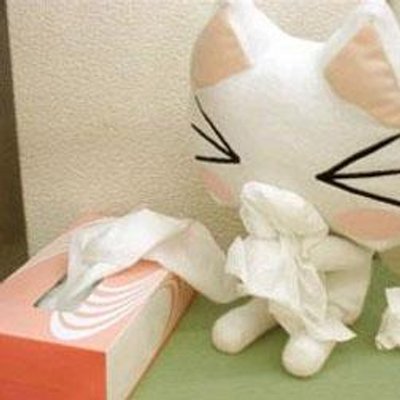 Martin Huang - Twitter Profile Picture of Martin Huang (@Martin_Libra) on Twitter