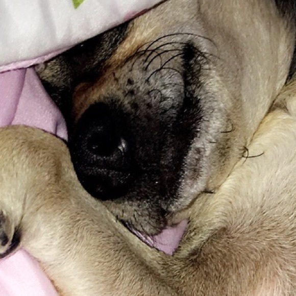 Profile Picture of Kris Nguyen (@heyyykris) on Poshmark