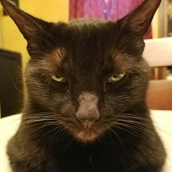 Profile Picture of Jeff Blankenhorn (@jblanky) on Poshmark