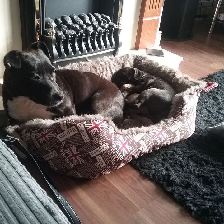 Mandy Callaghan - Tiktok Profile Picture of Mandy Callaghan (@mandycallaghan) on Tiktok