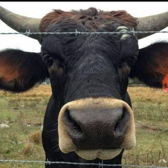 Profile Picture of Mark Bedwell (@MarkBedwell10) on Twitter