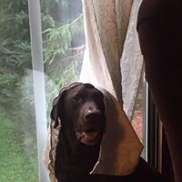 Profile Picture of Jo Rose (@jo-rose-21) on Quora