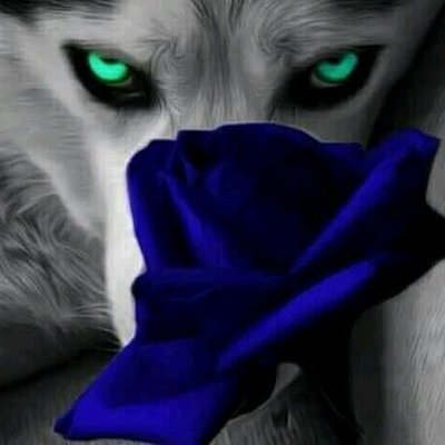 Васек Лашутка - Twitter Profile Picture of Васек Лашутка (@lashutka1) on Twitter