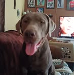 Profile Picture of Cindy Case (@cindy.case.3572) on Facebook