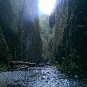 Profile Picture of Cody Suggs (@manofpillows) on Youtube