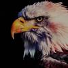 Profile Picture of Eagle (@@larryeagle) on Tiktok