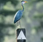 Profile Picture of Jariel Bengel (@jariel.bengel) on Facebook