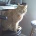Profile Picture of Michael Bickham (@michael.bickham.1) on Facebook