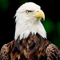 Profile Picture of Chris Trudel (@chris-trudel-2) on Quora