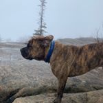 Profile Picture of Peter Cassat (@petercassat) on Instagram