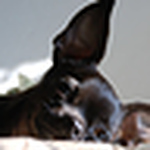 Profile Picture of Kyle Davis (@kcd71) on Flickr