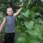 Profile Picture of Joshua Oakes (@oakes_joshua) on Instagram